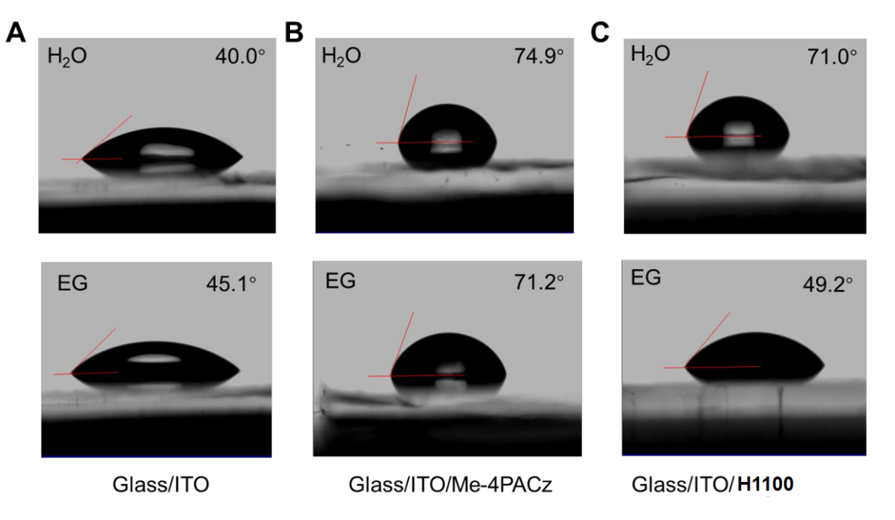 Poly-4PACz  九曜甄选
